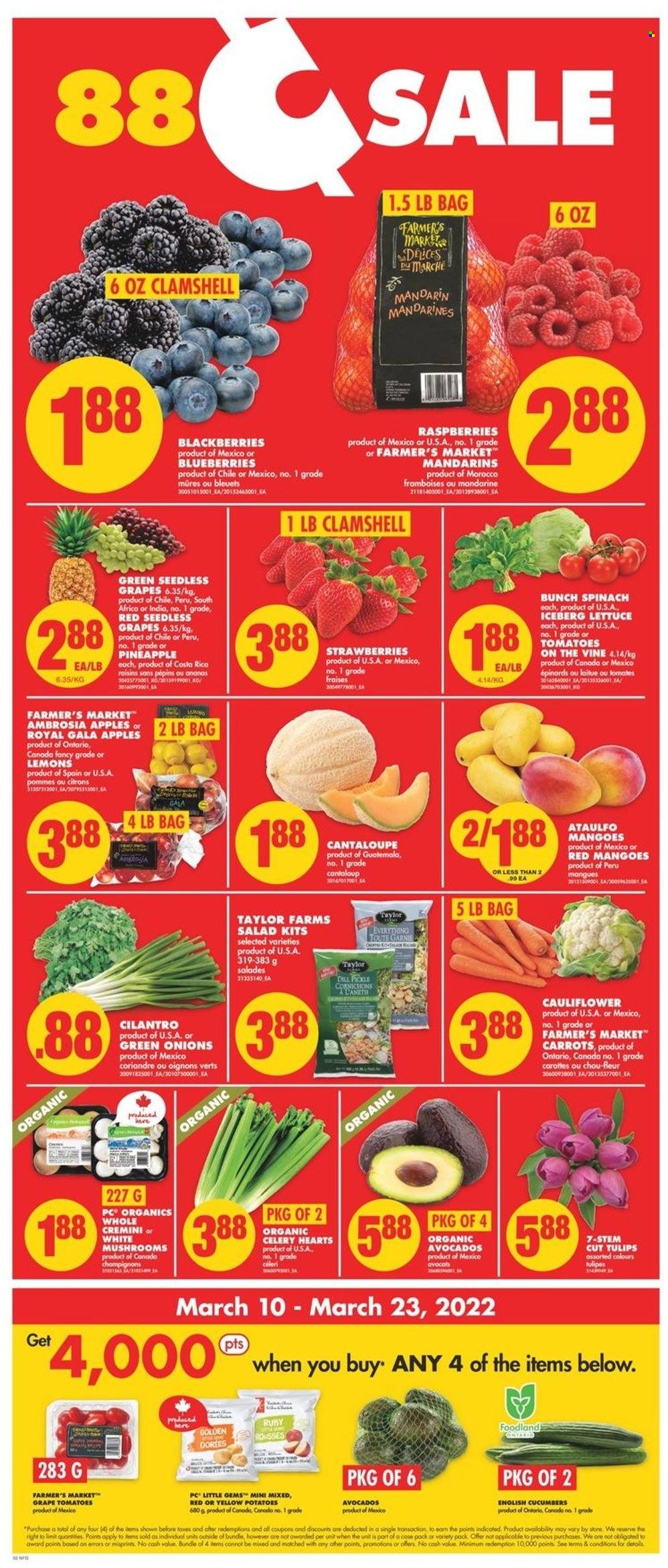 No Frills flyer - March 10, 2022 - March 16, 2022. Page 2