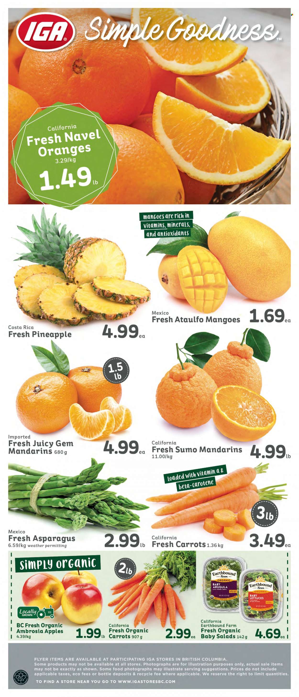 IGA Simple Goodness flyer - March 25, 2022 - March 31, 2022. Page 6