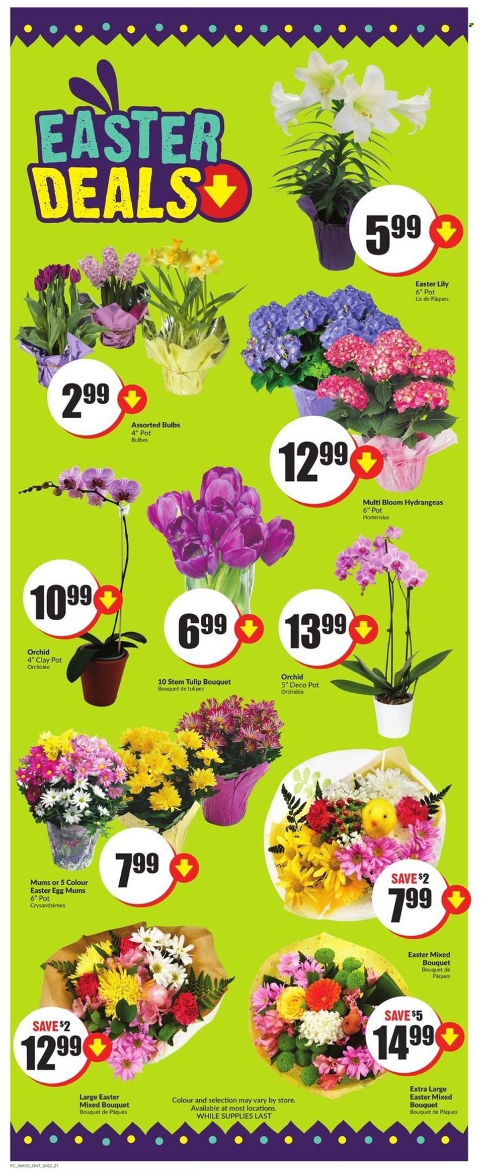 Chalo! FreshCo. flyer - April 07, 2022 - April 13, 2022. Page 10