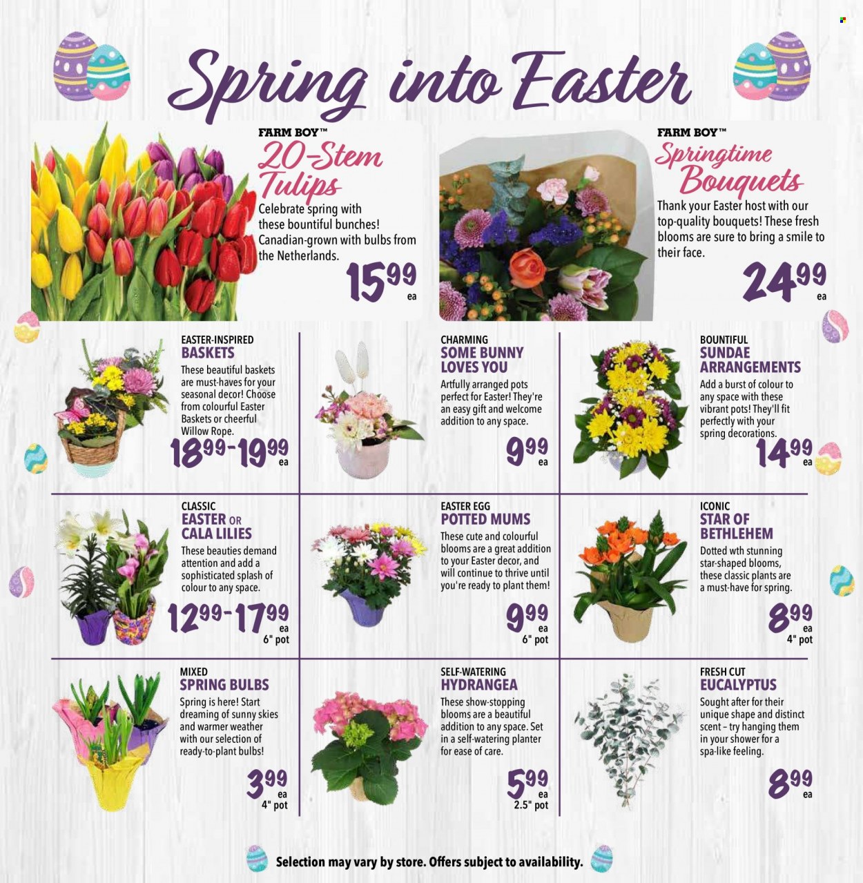 Farm Boy flyer - April 07, 2022 - April 13, 2022. Page 9