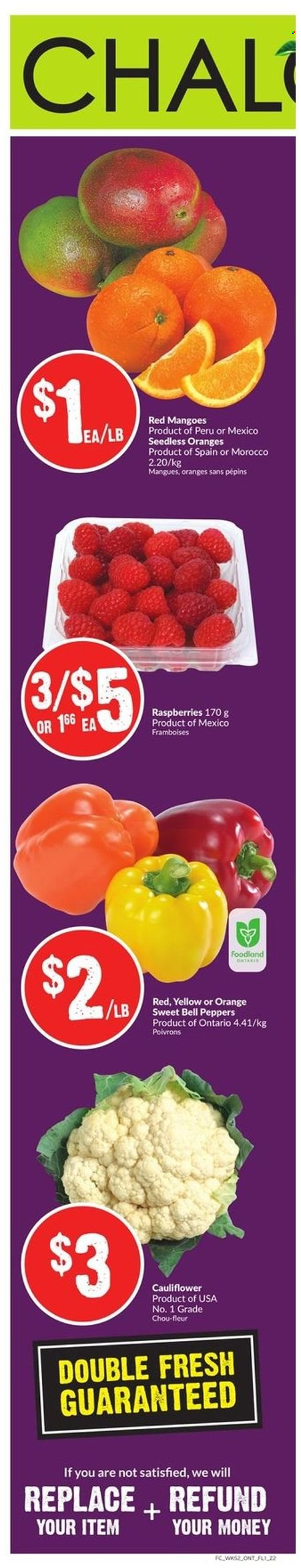 Chalo! FreshCo. flyer - April 21, 2022 - April 27, 2022. Page 9