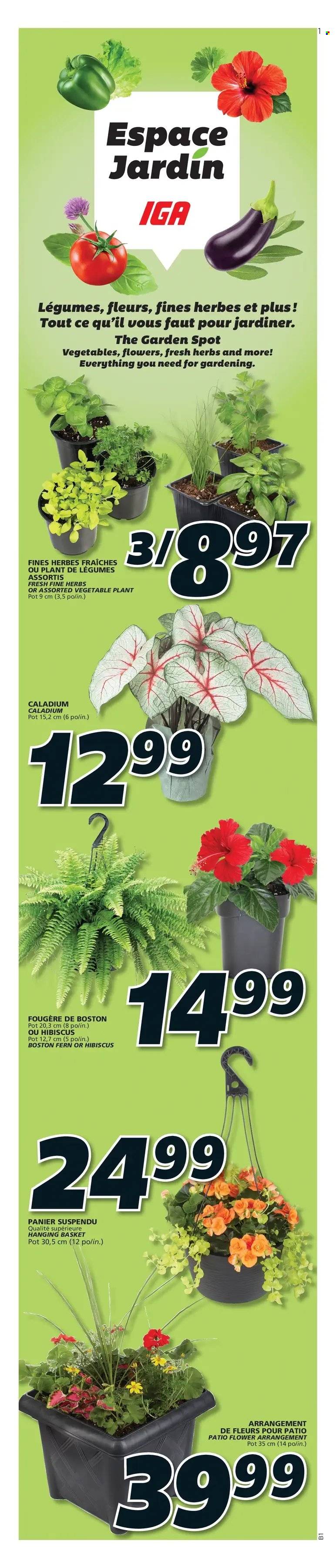 IGA flyer - May 12, 2022 - May 18, 2022. Page 11