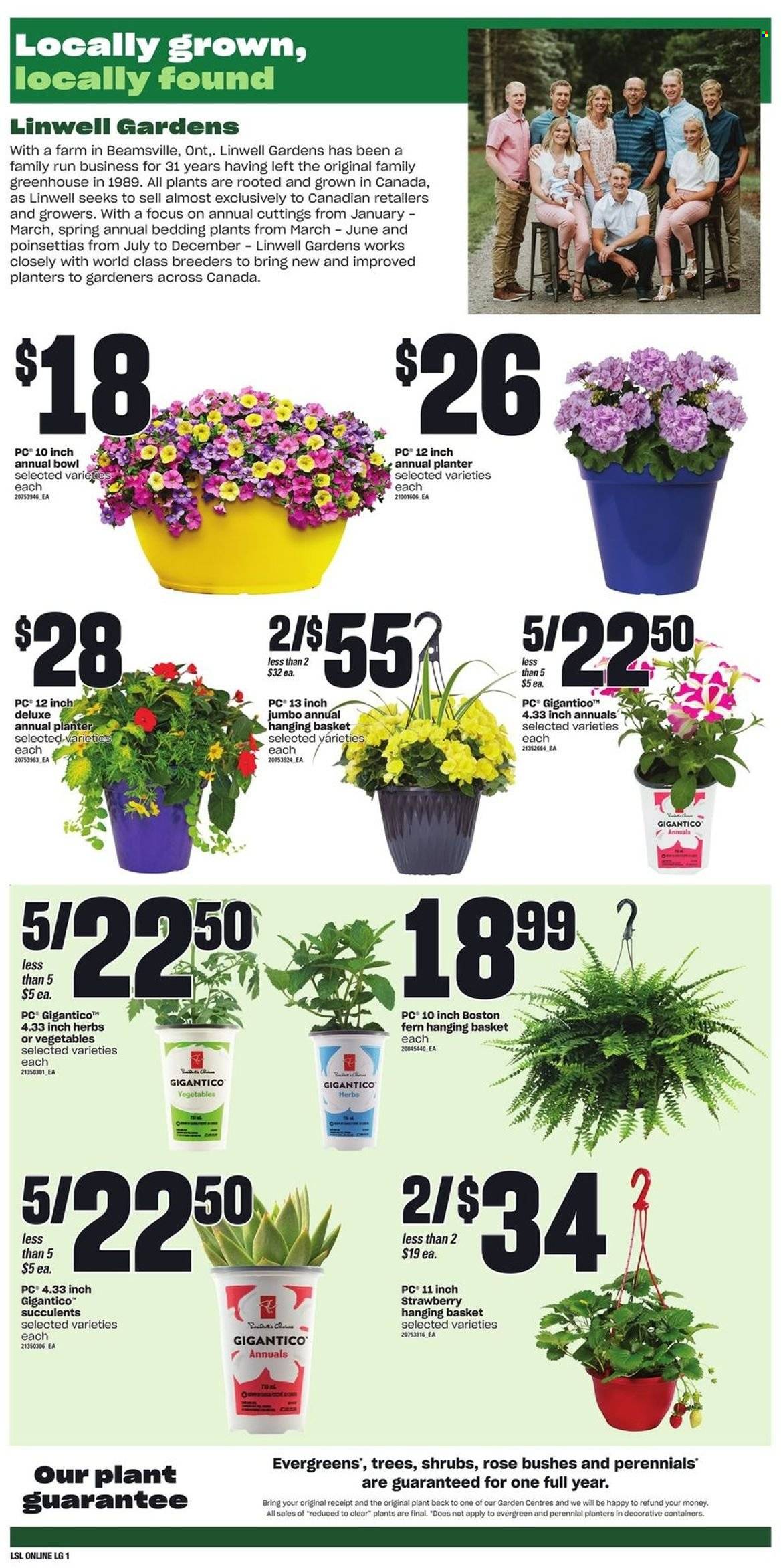 Loblaws flyer - May 12, 2022 - May 18, 2022. Page 6