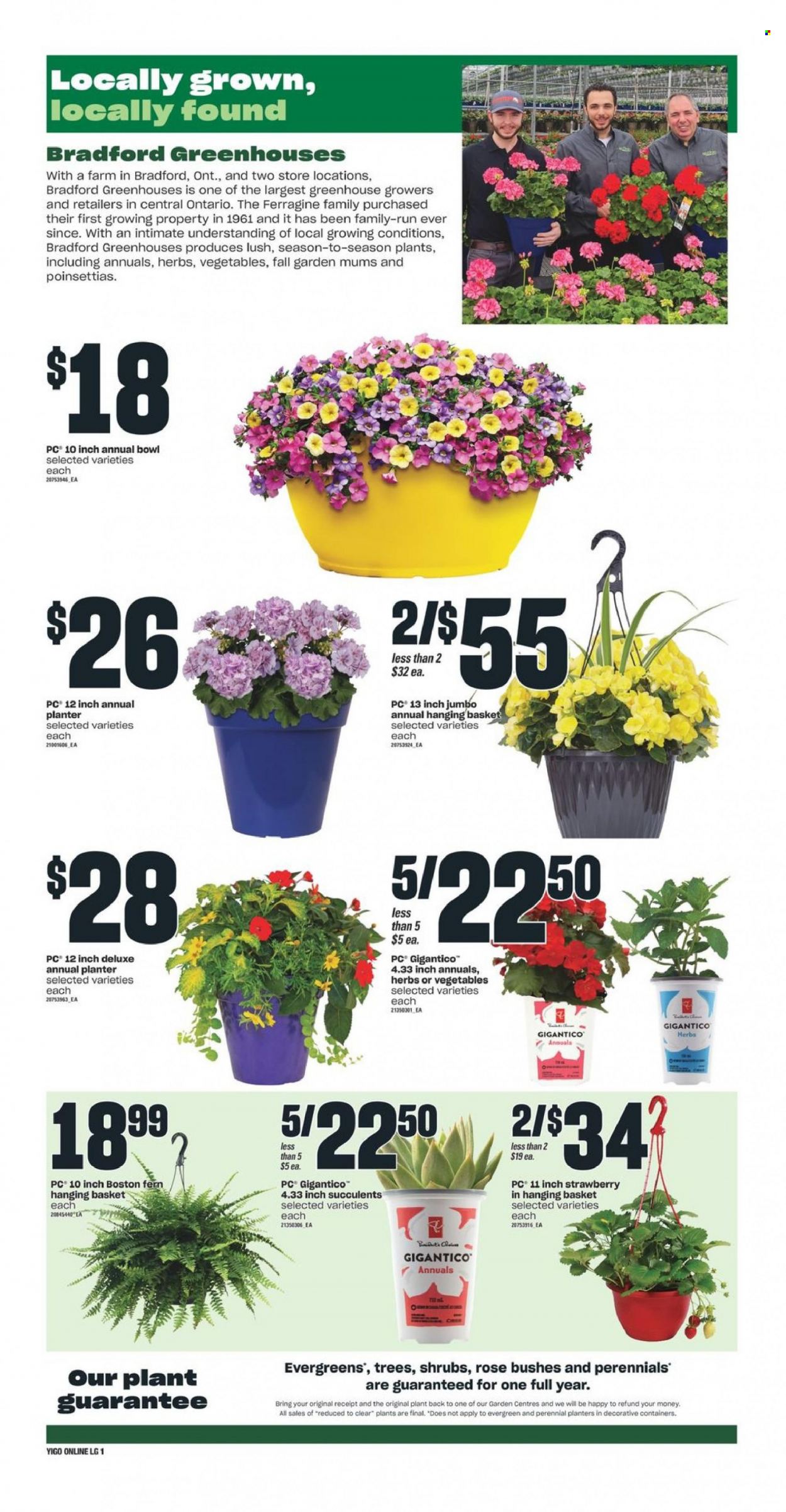 Independent flyer - May 12, 2022 - May 18, 2022. Page 6