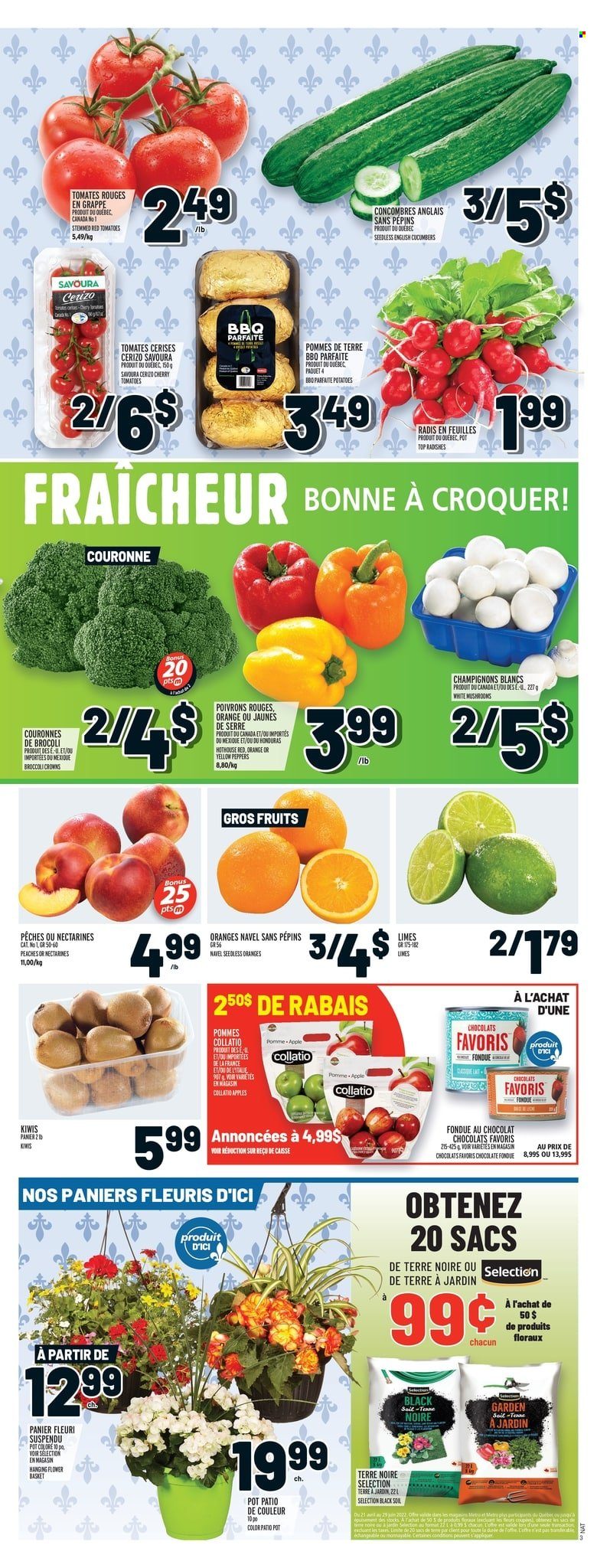 thumbnail - Metro Flyer - May 19, 2022 - May 25, 2022 - Sales products - mushrooms, broccoli, cucumber, radishes, tomatoes, potatoes, peppers, apples, limes, nectarines, cherries, peaches, chocolate, Sol, basket, pot, kiwi, oranges. Page 5.