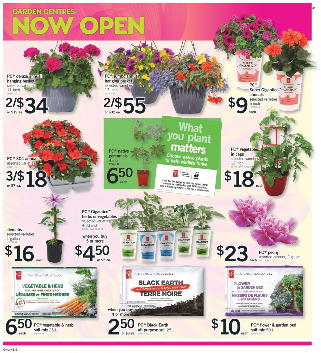 Fortinos flyer - May 19, 2022 - May 25, 2022. Page 9
