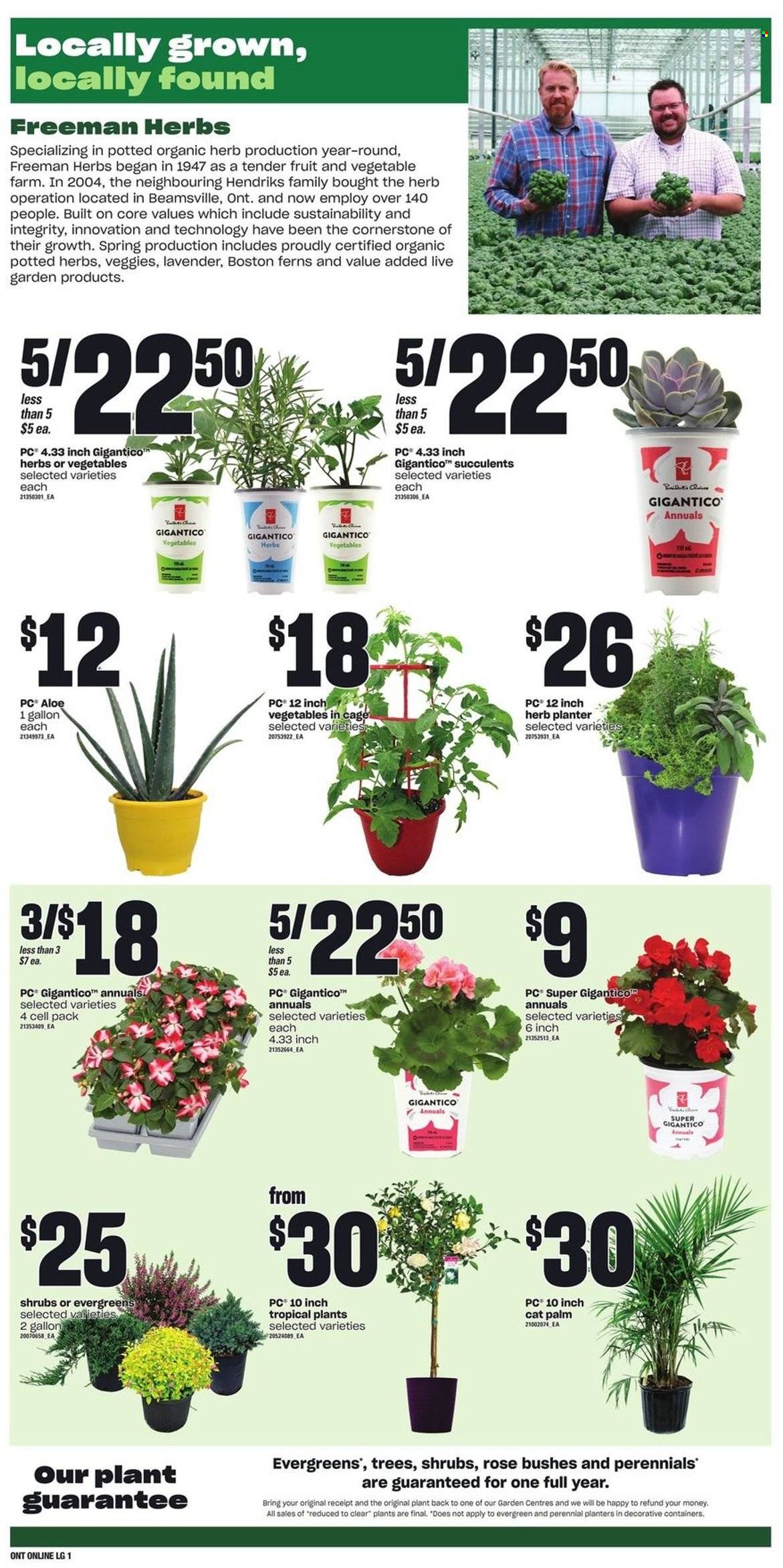 Loblaws flyer - May 19, 2022 - May 25, 2022. Page 9