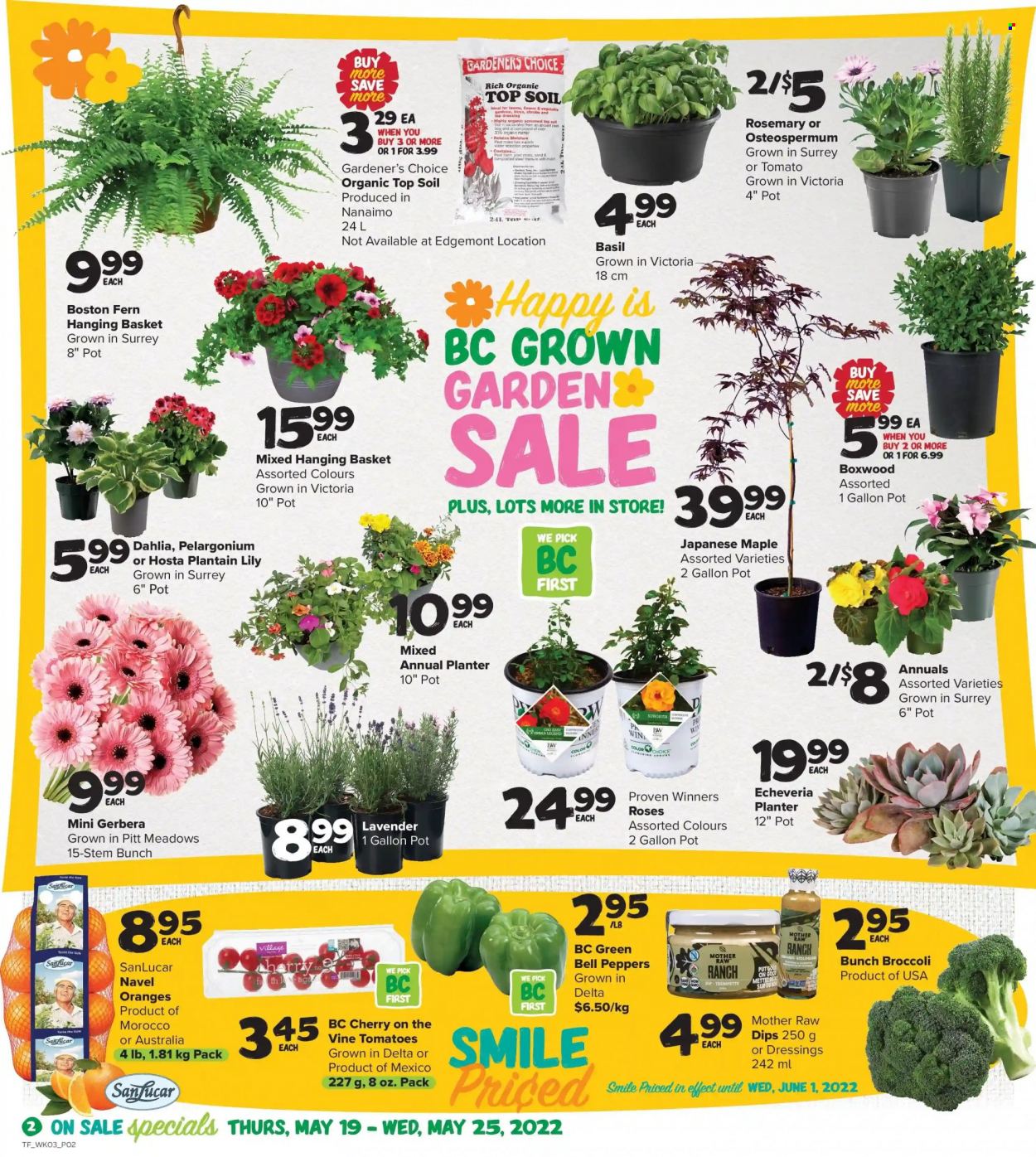 thumbnail - Thrifty Foods Flyer - May 19, 2022 - May 25, 2022 - Sales products - bell peppers, broccoli, tomatoes, peppers, navel oranges, dip, rosemary, basil, dressing, gerbera, rose, lily, lavender. Page 2.