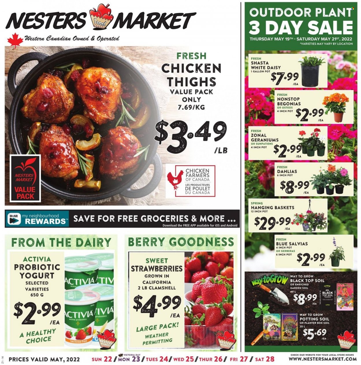 thumbnail - Nesters Food Market Flyer - May 22, 2022 - May 28, 2022 - Sales products - strawberries, Healthy Choice, yoghurt, probiotic yoghurt, Activia, chicken thighs, chicken, gerbera, garden soil, Geranium, outdoor plant, probiotics. Page 1.