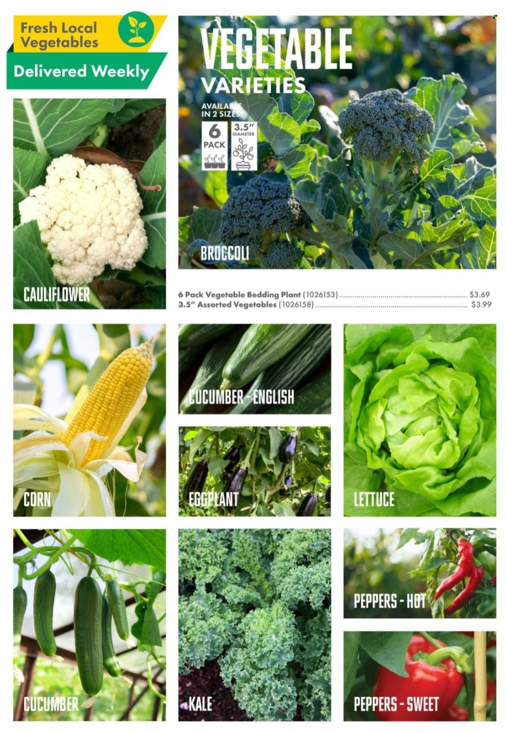 thumbnail - Kent Flyer - May 05, 2022 - June 29, 2022 - Sales products - kale, cauliflower, corn, peppers, eggplant, bedding. Page 11.