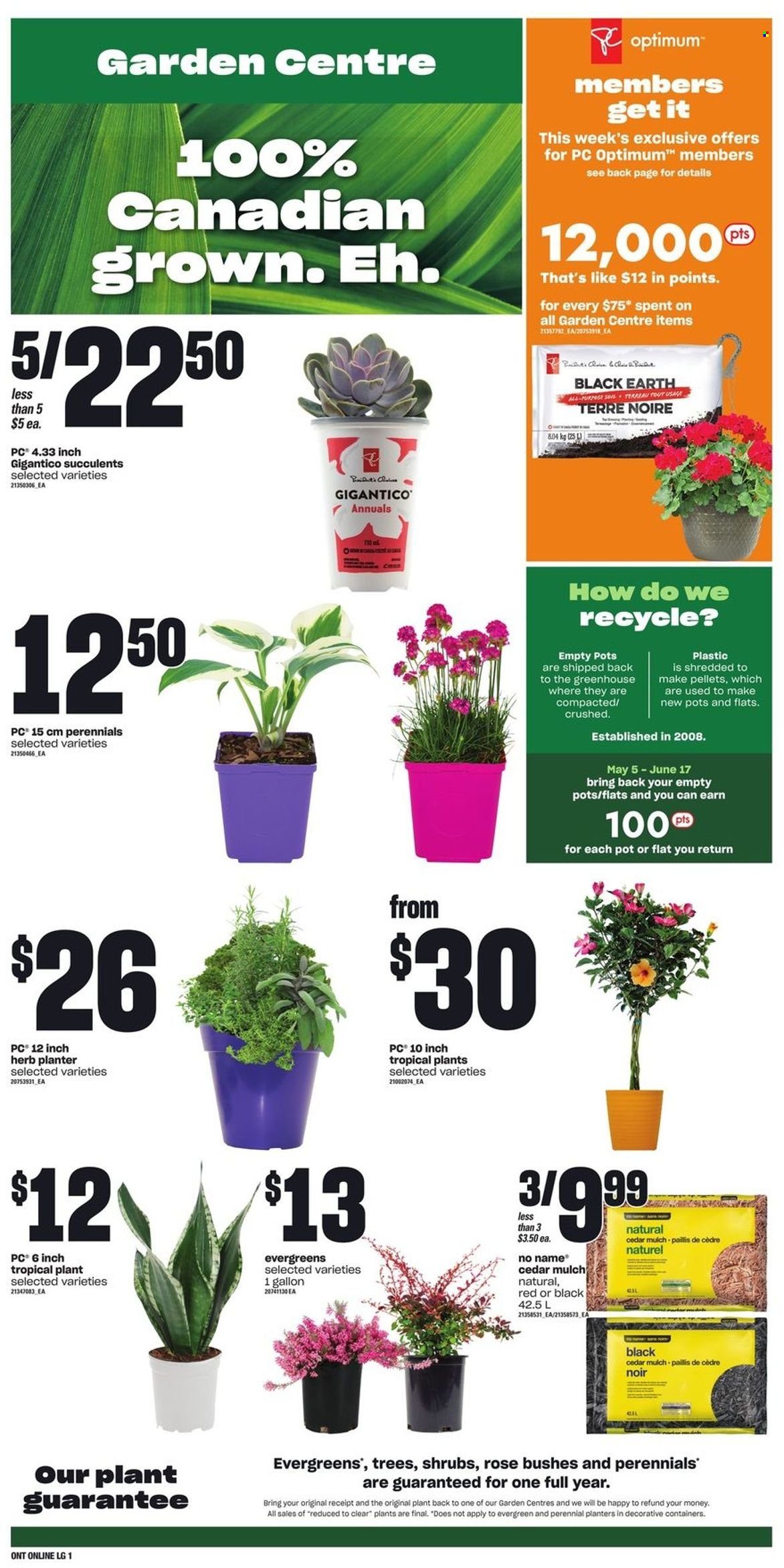Loblaws flyer - May 26, 2022 - June 01, 2022. Page 6