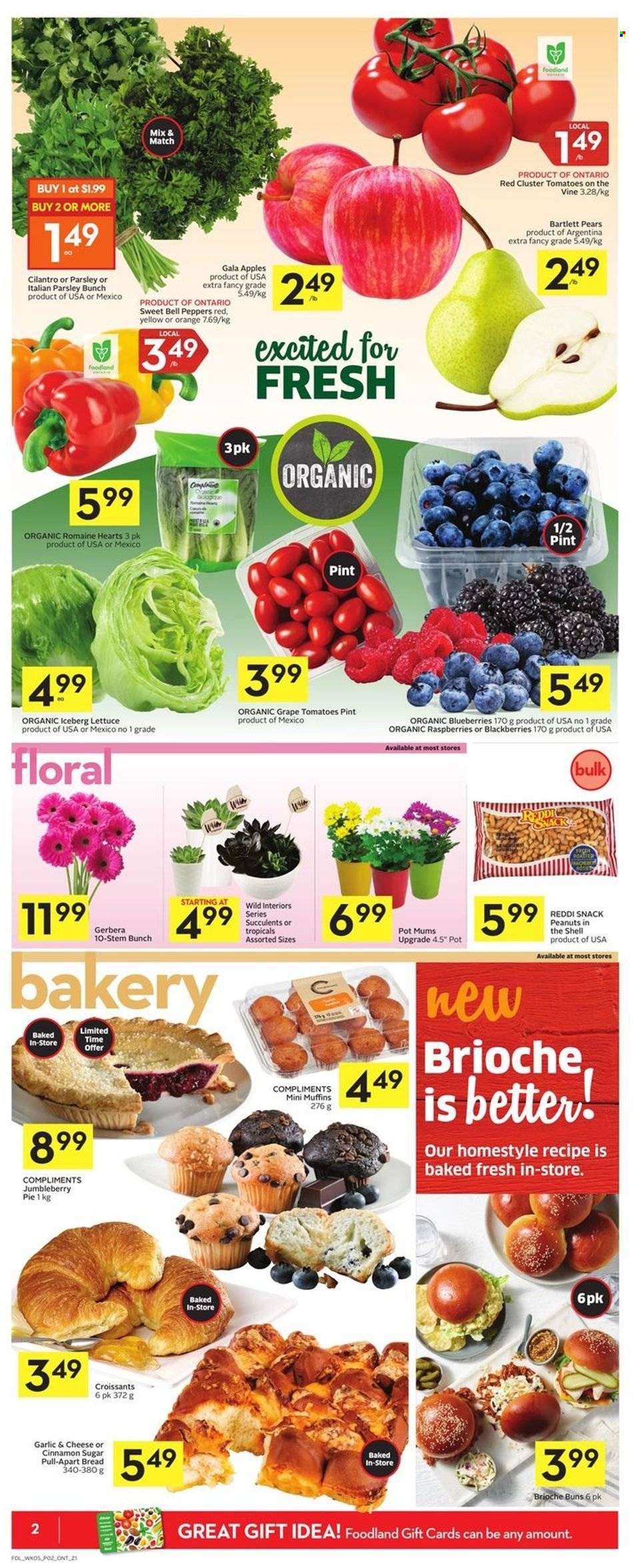 Foodland flyer - June 02, 2022 - June 08, 2022. Page 2