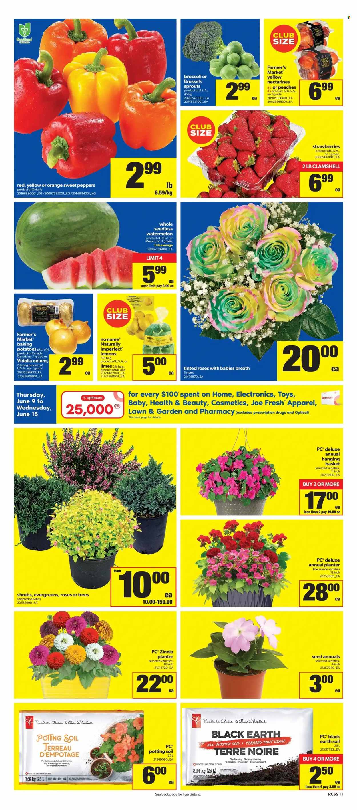 Real Canadian Superstore flyer - June 09, 2022 - June 15, 2022. Page 13