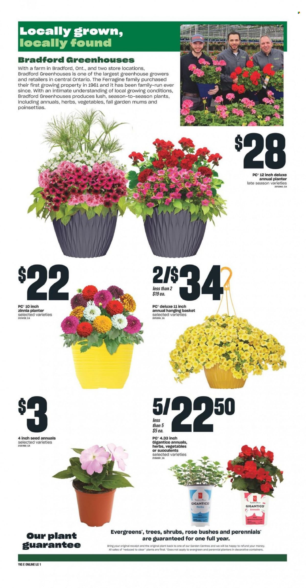Independent flyer - June 09, 2022 - June 15, 2022. Page 7