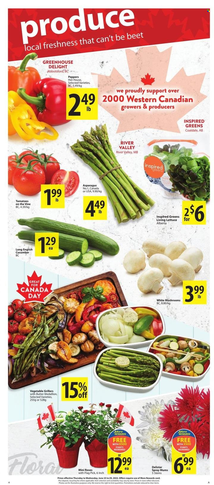 thumbnail - Circulaire Save-On-Foods - 23 Juin 2022 - 29 Juin 2022 - Produits soldés - asperge. Page 3.
