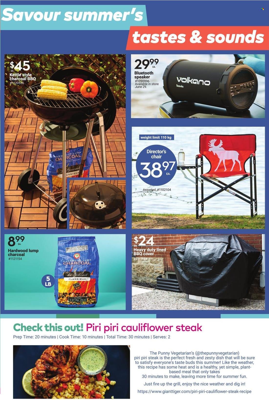 thumbnail - Giant Tiger Flyer - June 22, 2022 - July 05, 2022 - Sales products - chair, kettle, Sure, speaker, bluetooth speaker, Volkano, steak. Page 2.