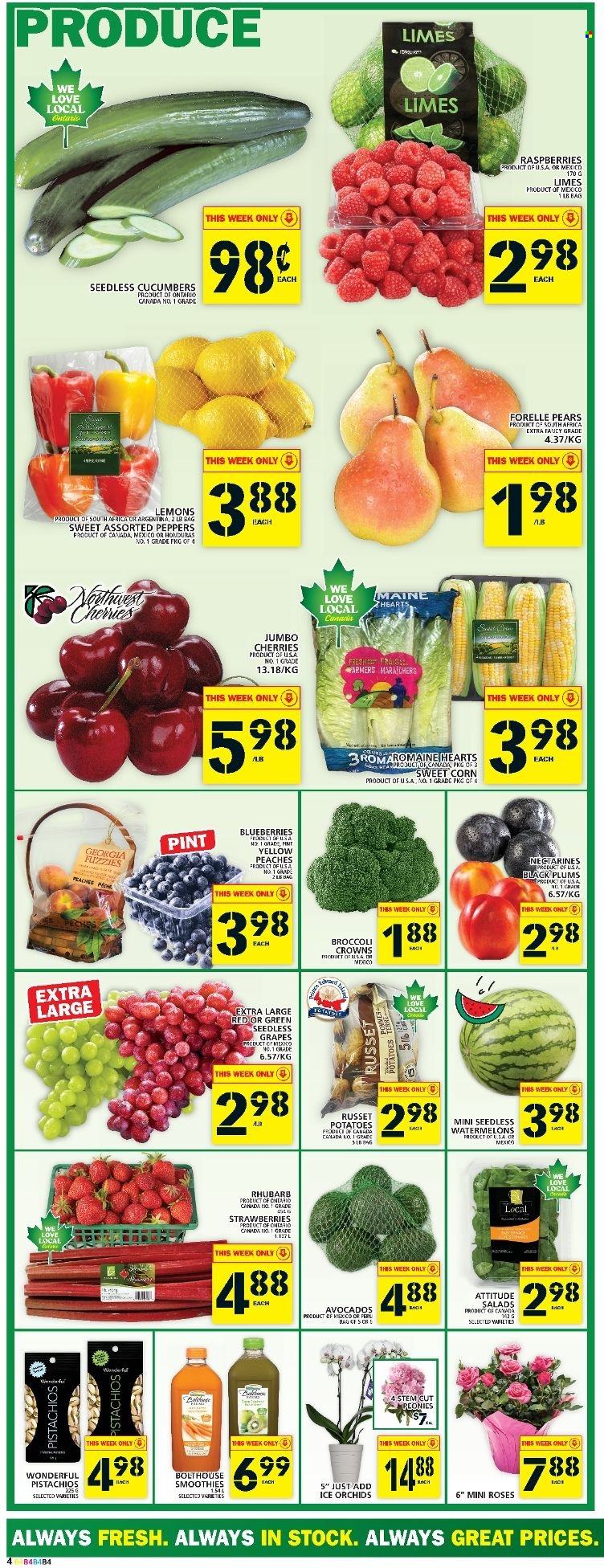thumbnail - Food Basics Flyer - June 30, 2022 - July 06, 2022 - Sales products - corn, cucumber, rhubarb, russet potatoes, potatoes, peppers, sweet corn, avocado, blueberries, grapes, limes, nectarines, seedless grapes, strawberries, plums, cherries, pears, lemons, black plums, peaches, pistachios, smoothie, rose. Page 5.