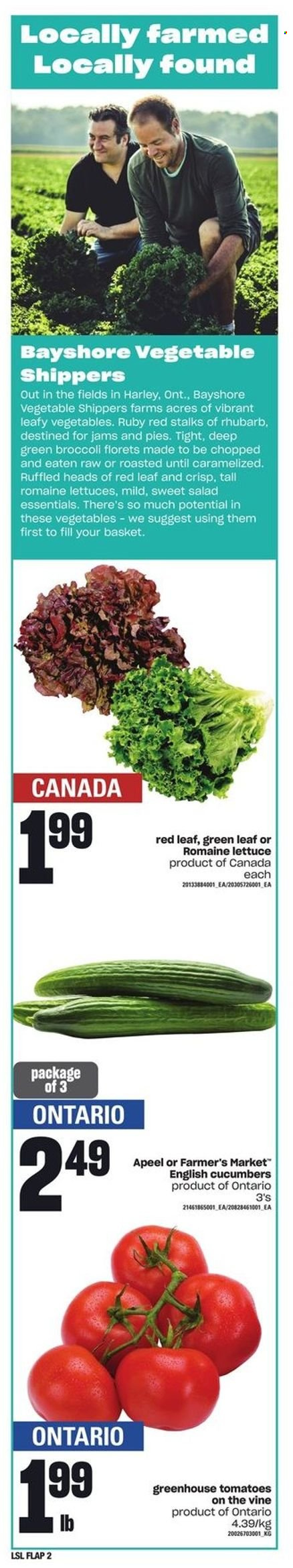 Loblaws flyer - June 30, 2022 - July 06, 2022. Page 14