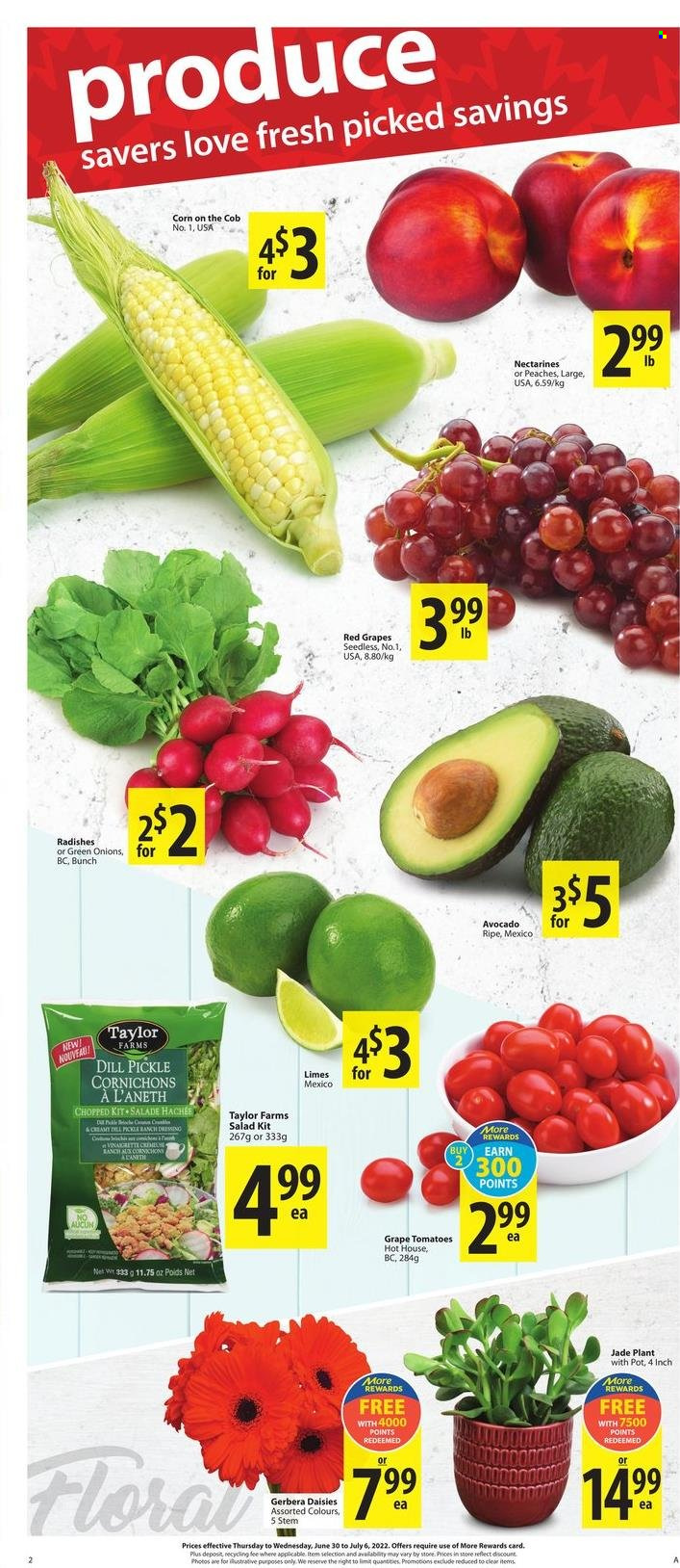 thumbnail - Save-On-Foods Flyer - June 30, 2022 - July 06, 2022 - Sales products - corn, radishes, tomatoes, salad, avocado, limes, nectarines, peaches, ranch dressing, dill pickle, dill, dressing, pot. Page 2.