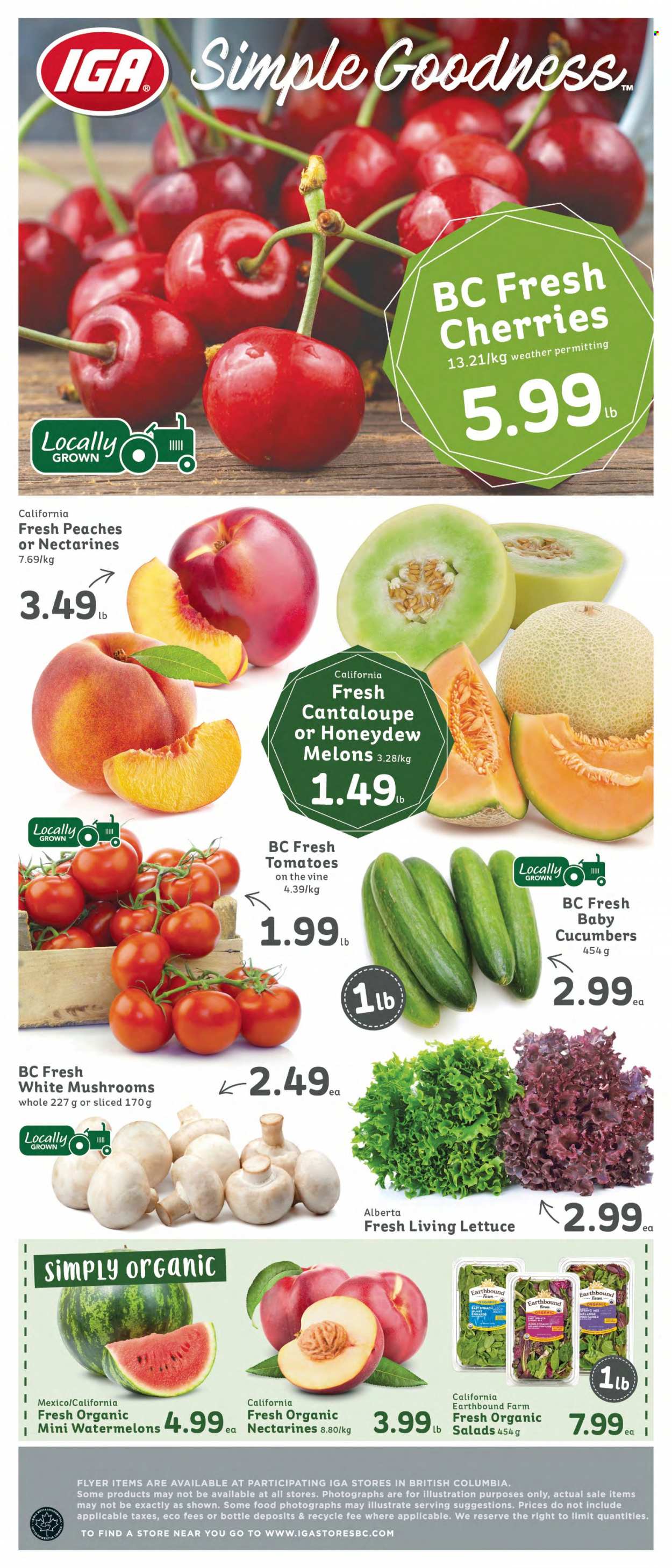 IGA Simple Goodness flyer - July 08, 2022 - July 14, 2022. Page 6