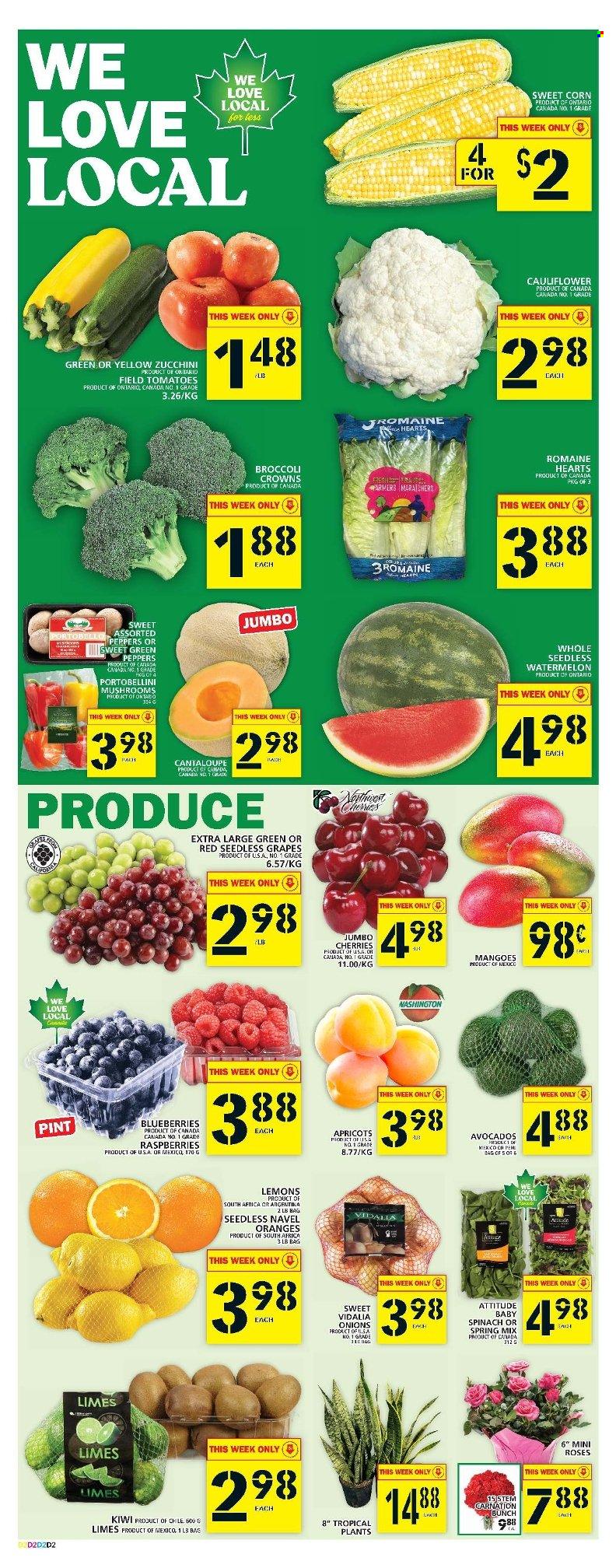 Food Basics flyer - August 04, 2022 - August 10, 2022. Page 3