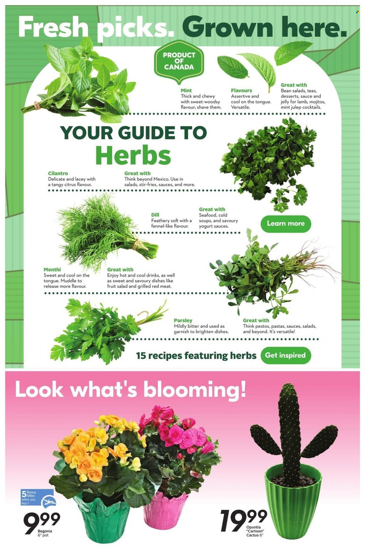 Sobeys flyer - August 04, 2022 - August 10, 2022. Page 12