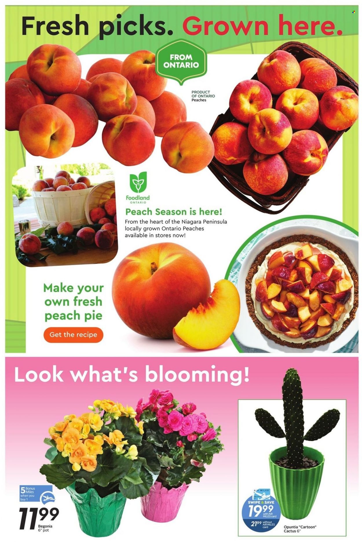 Safeway flyer - August 04, 2022 - August 10, 2022. Page 12