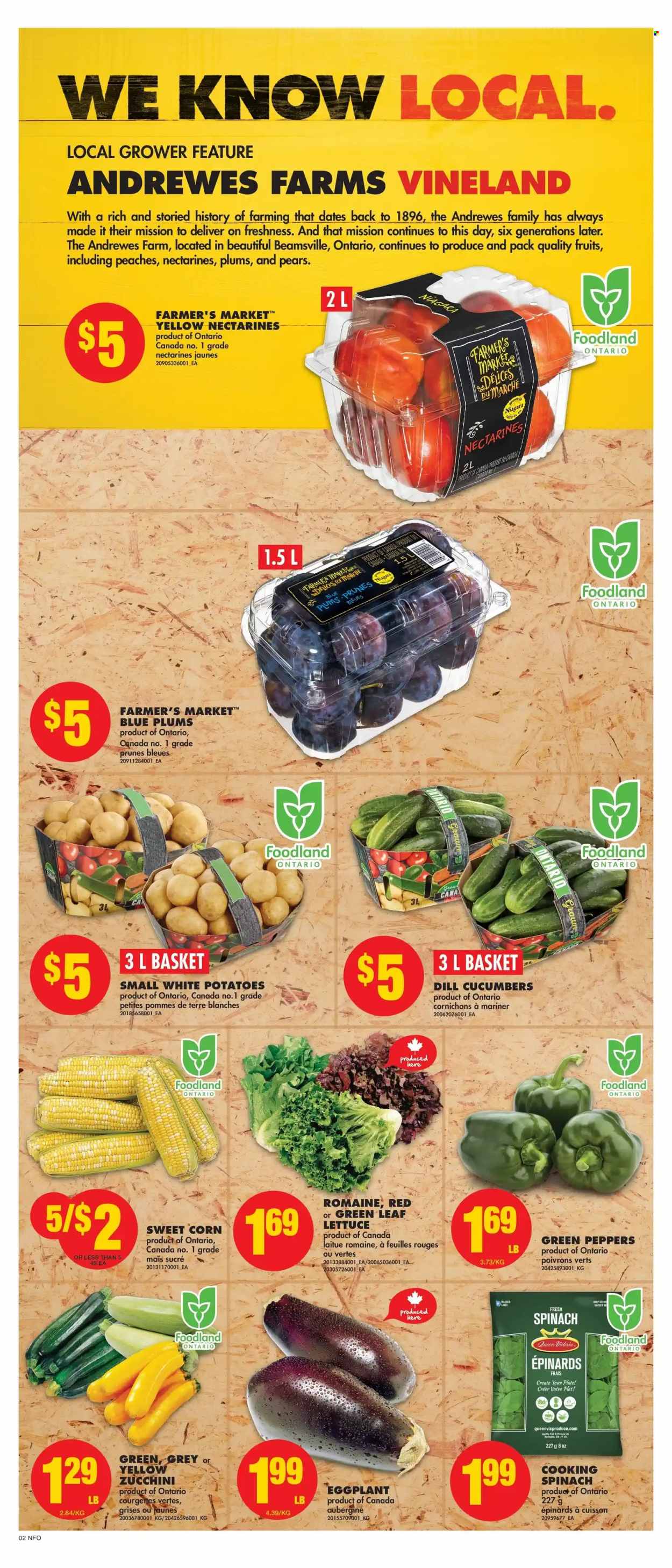 No Frills flyer - August 11, 2022 - August 17, 2022. Page 2