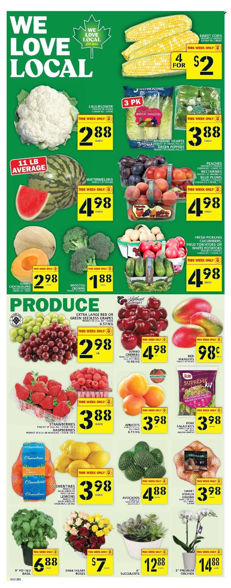Food Basics flyer - August 11, 2022 - August 17, 2022. Page 3