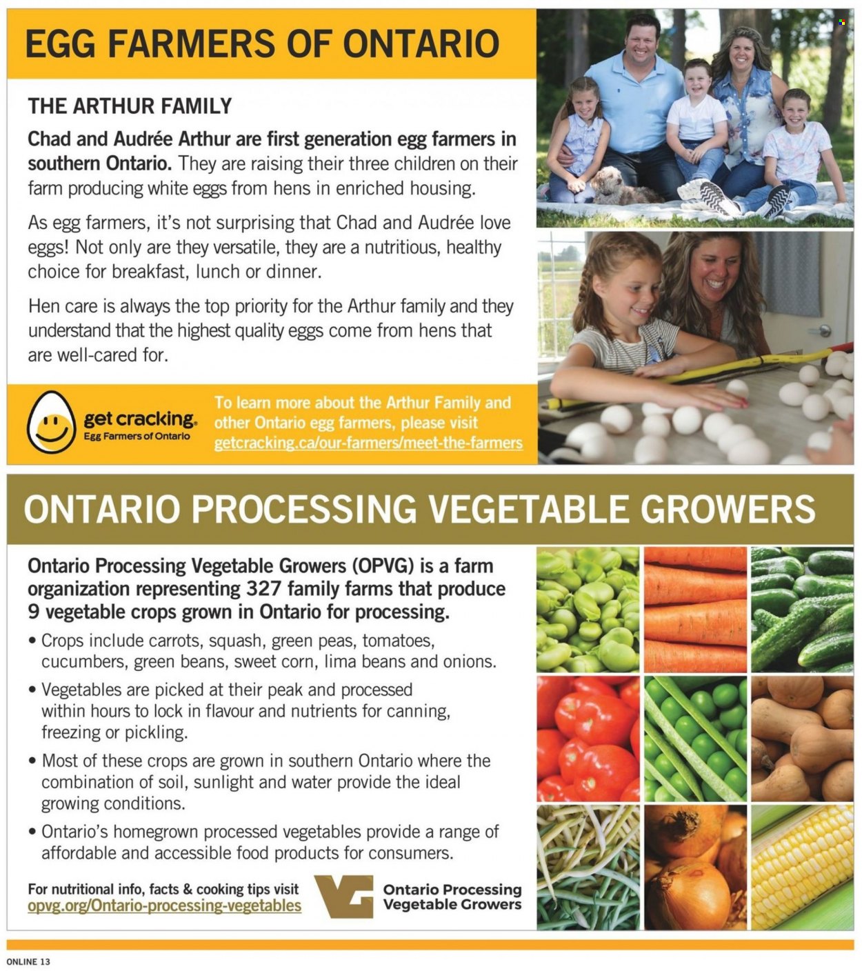 Fortinos flyer - August 11, 2022 - August 17, 2022. Page 13