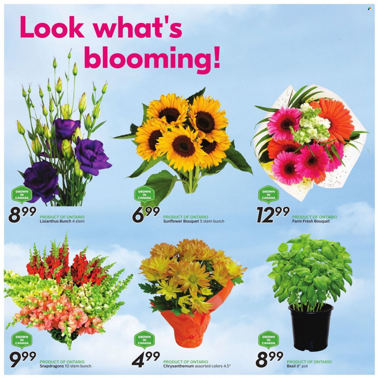 Sobeys flyer - August 18, 2022 - August 24, 2022. Page 16