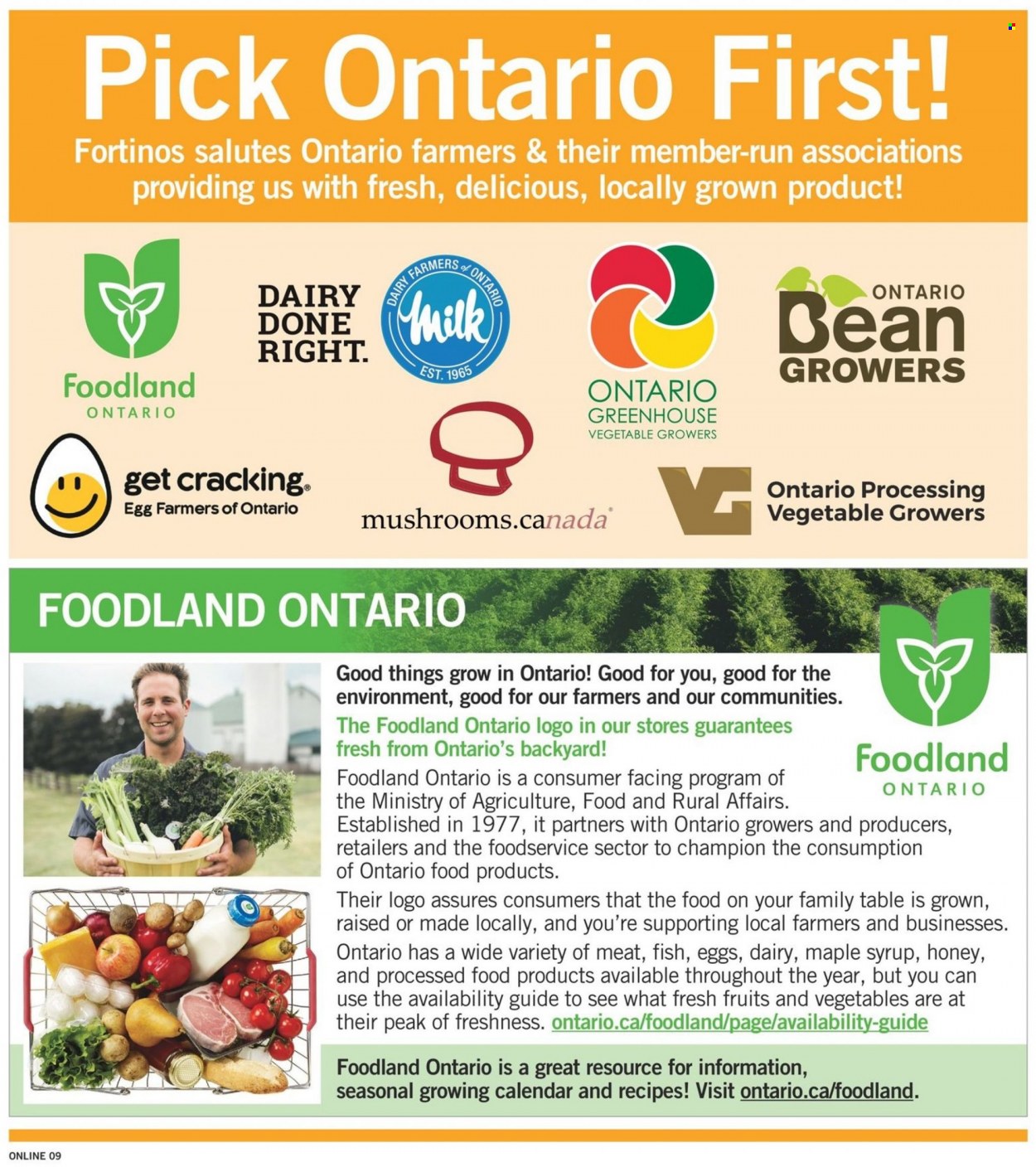 Fortinos flyer - August 18, 2022 - August 24, 2022. Page 9
