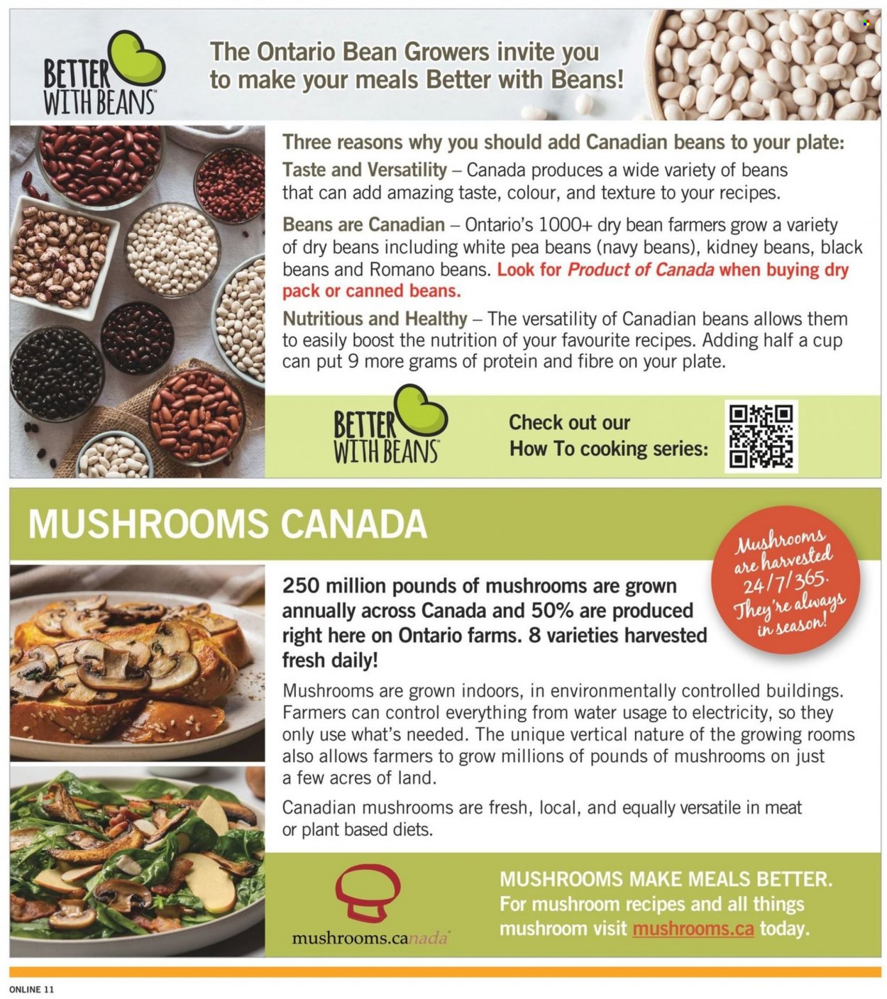 Fortinos flyer - August 18, 2022 - August 24, 2022. Page 11