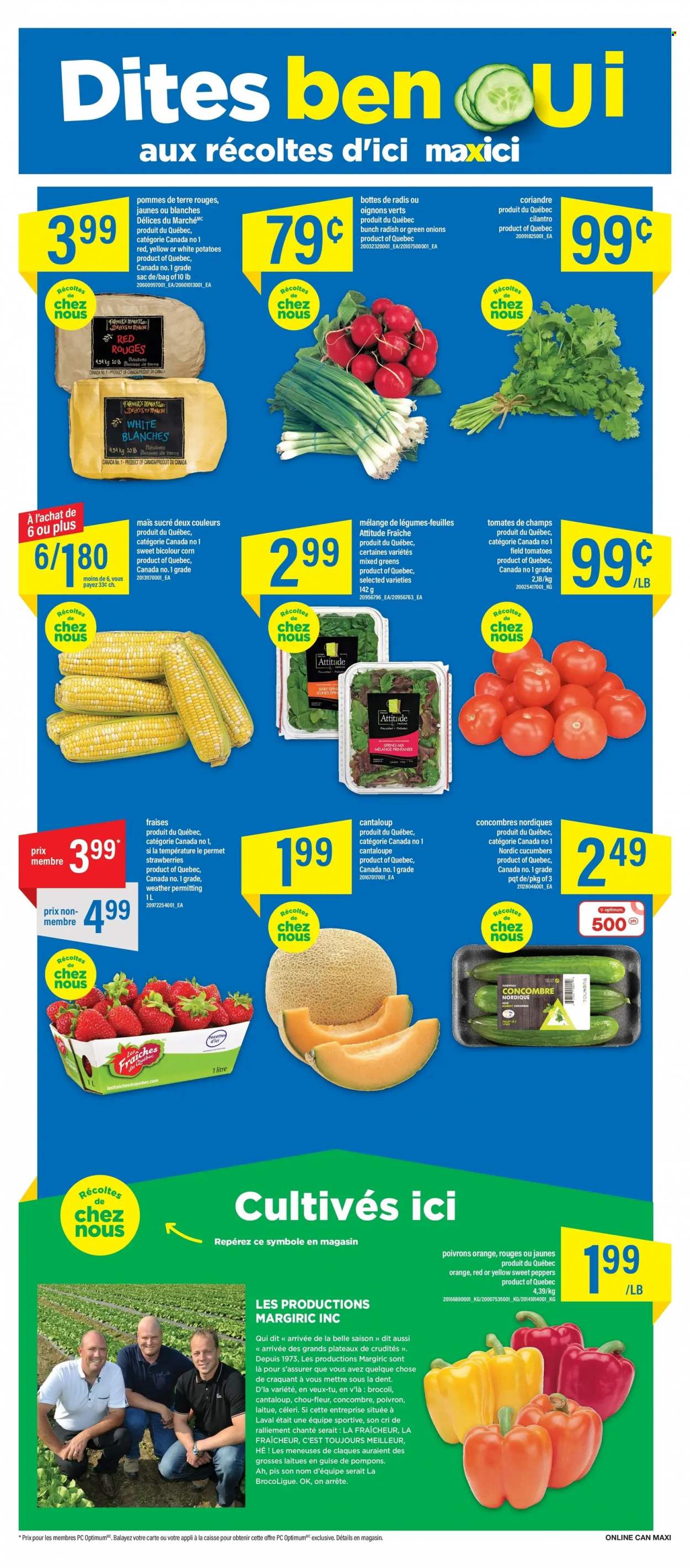 Maxi & Cie flyer - August 25, 2022 - August 31, 2022. Page 5