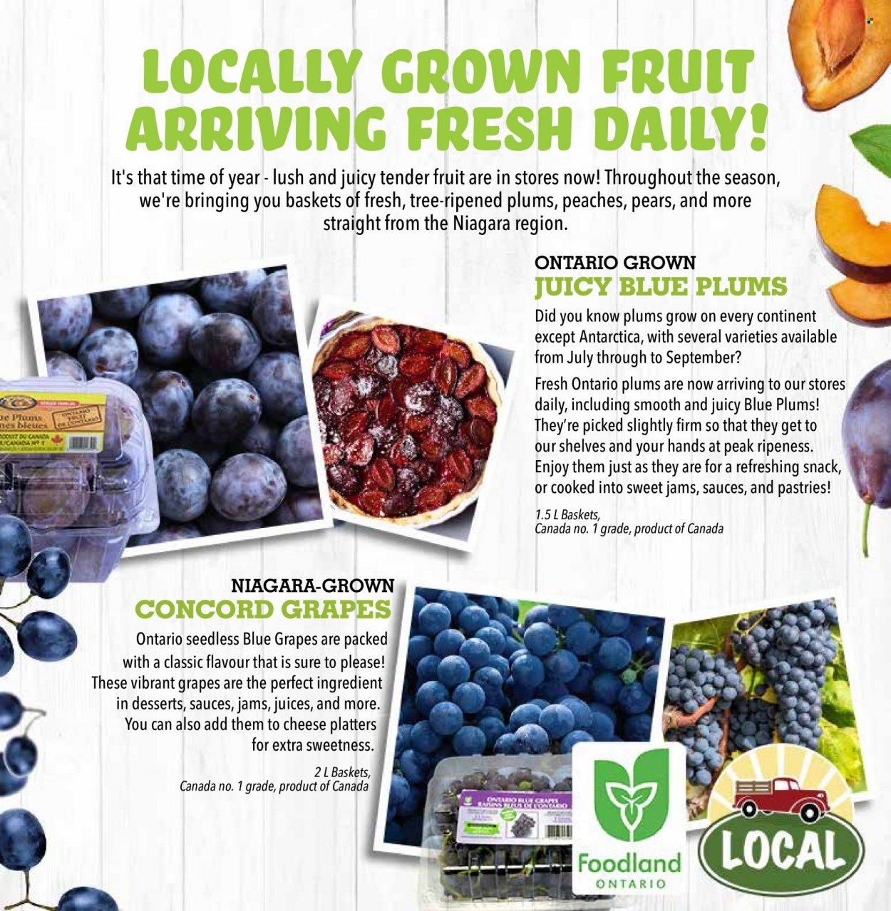 Farm Boy flyer - August 25, 2022 - August 31, 2022. Page 7