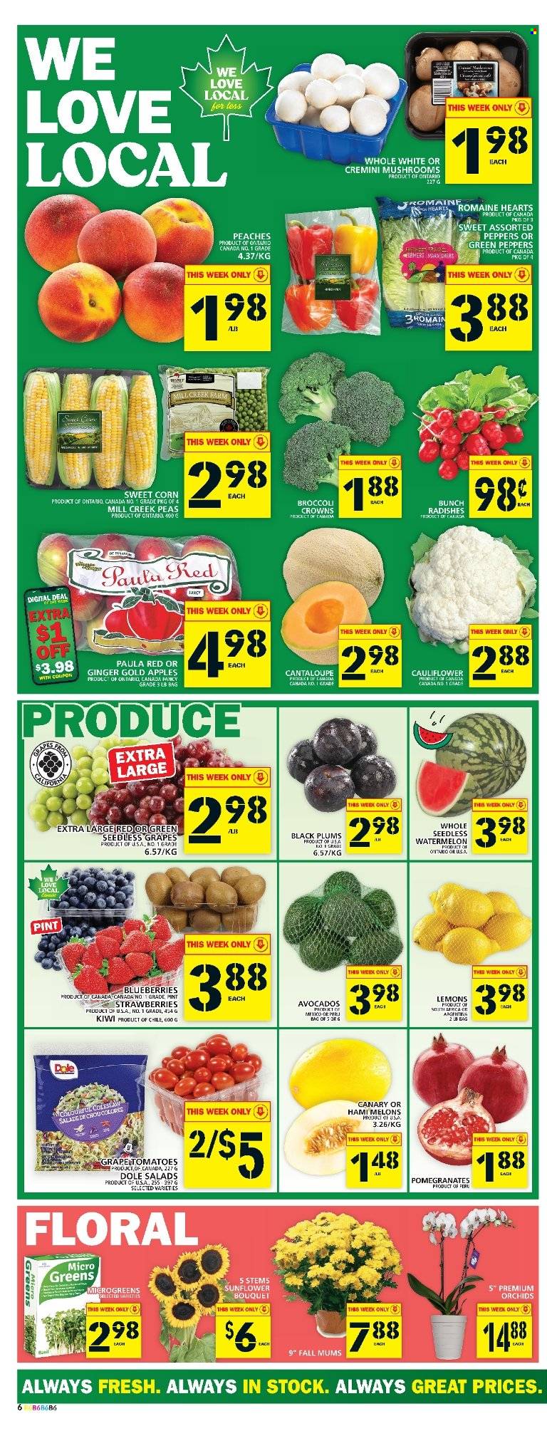 Food Basics flyer - September 01, 2022 - September 07, 2022. Page 7