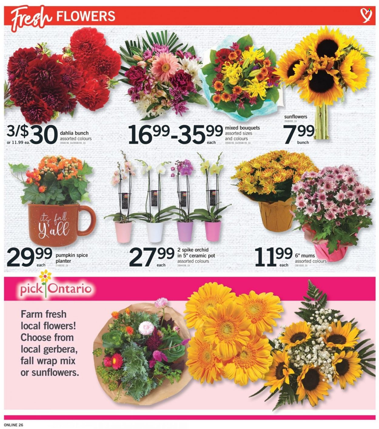 Fortinos flyer - September 01, 2022 - September 07, 2022. Page 25