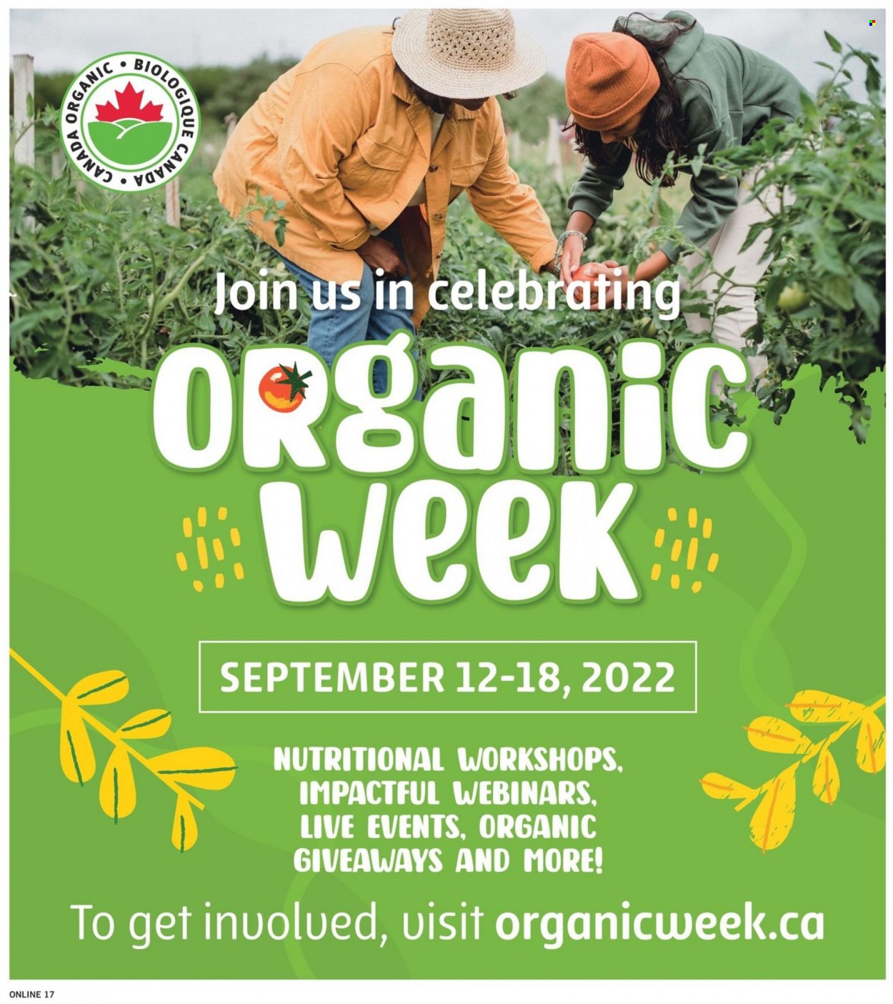 Fortinos flyer - September 08, 2022 - September 14, 2022. Page 17