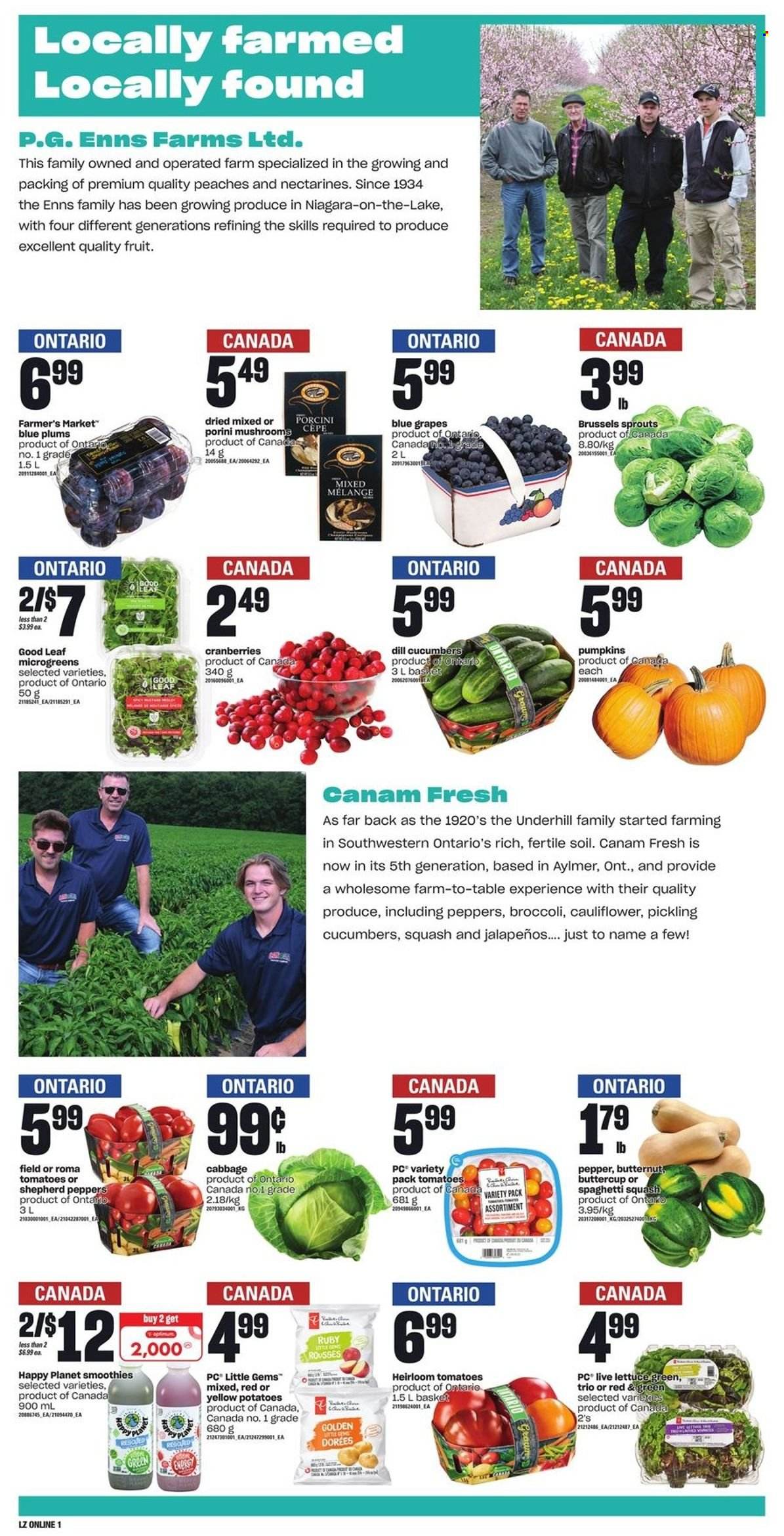 Loblaws flyer - September 22, 2022 - September 28, 2022. Page 9