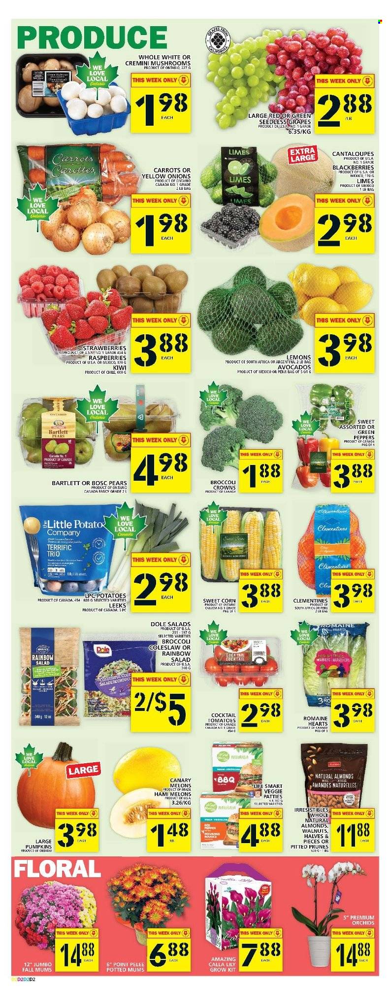 Food Basics flyer - September 22, 2022 - September 28, 2022. Page 3