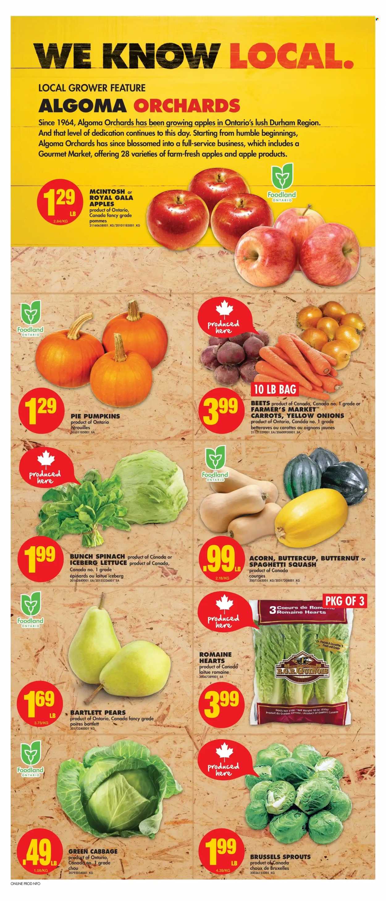 No Frills flyer - September 29, 2022 - October 05, 2022. Page 2