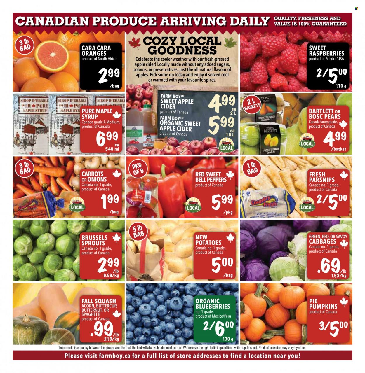 Farm Boy flyer - October 06, 2022 - October 12, 2022. Page 11