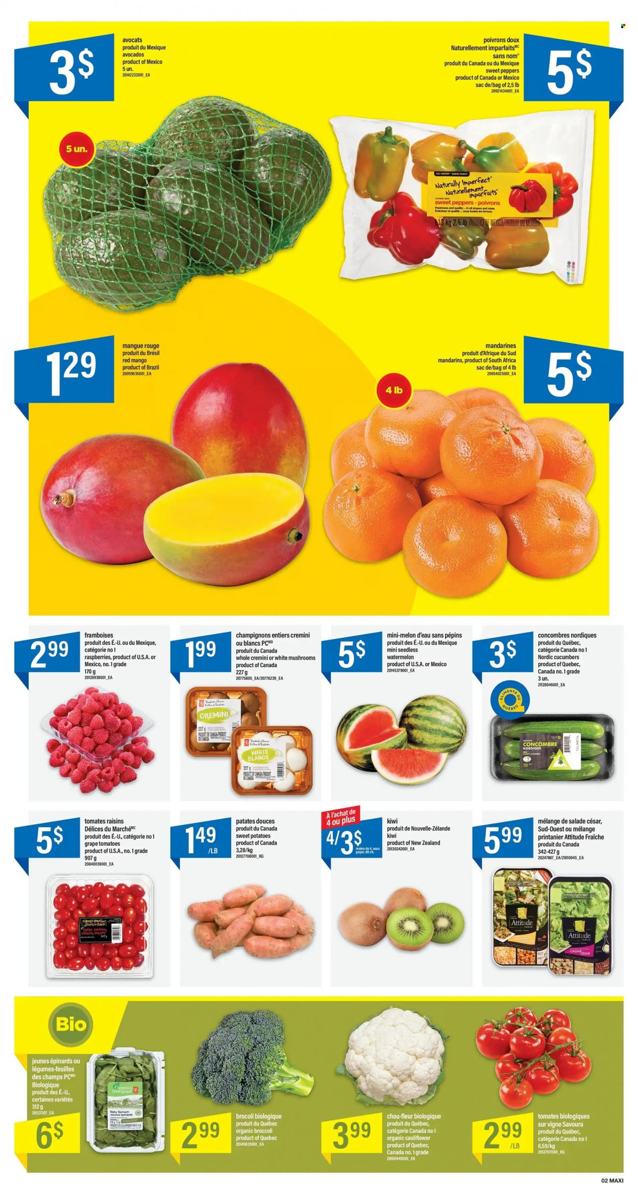 Maxi flyer - October 13, 2022 - October 19, 2022. Page 3