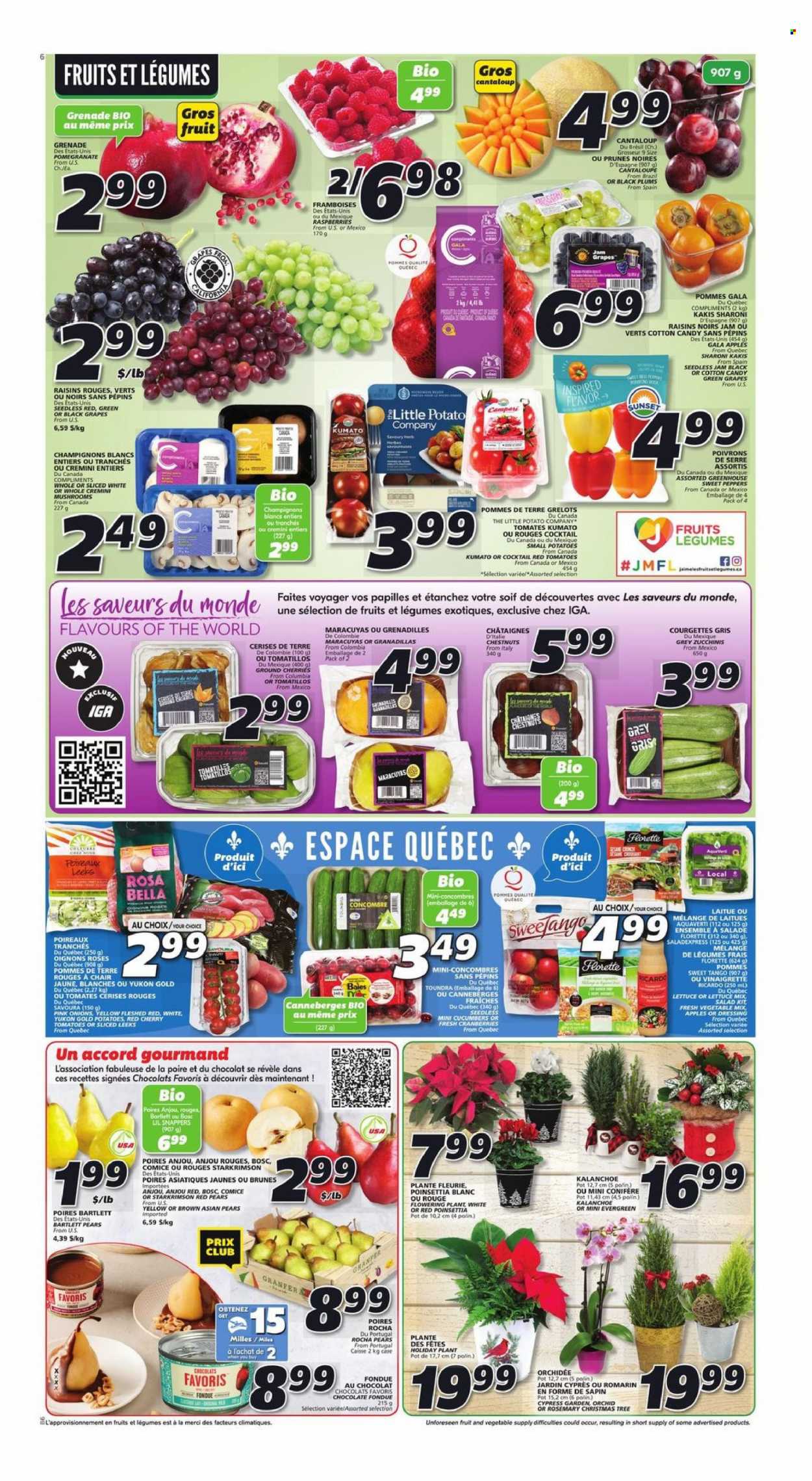 IGA flyer - November 17, 2022 - November 23, 2022. Page 3
