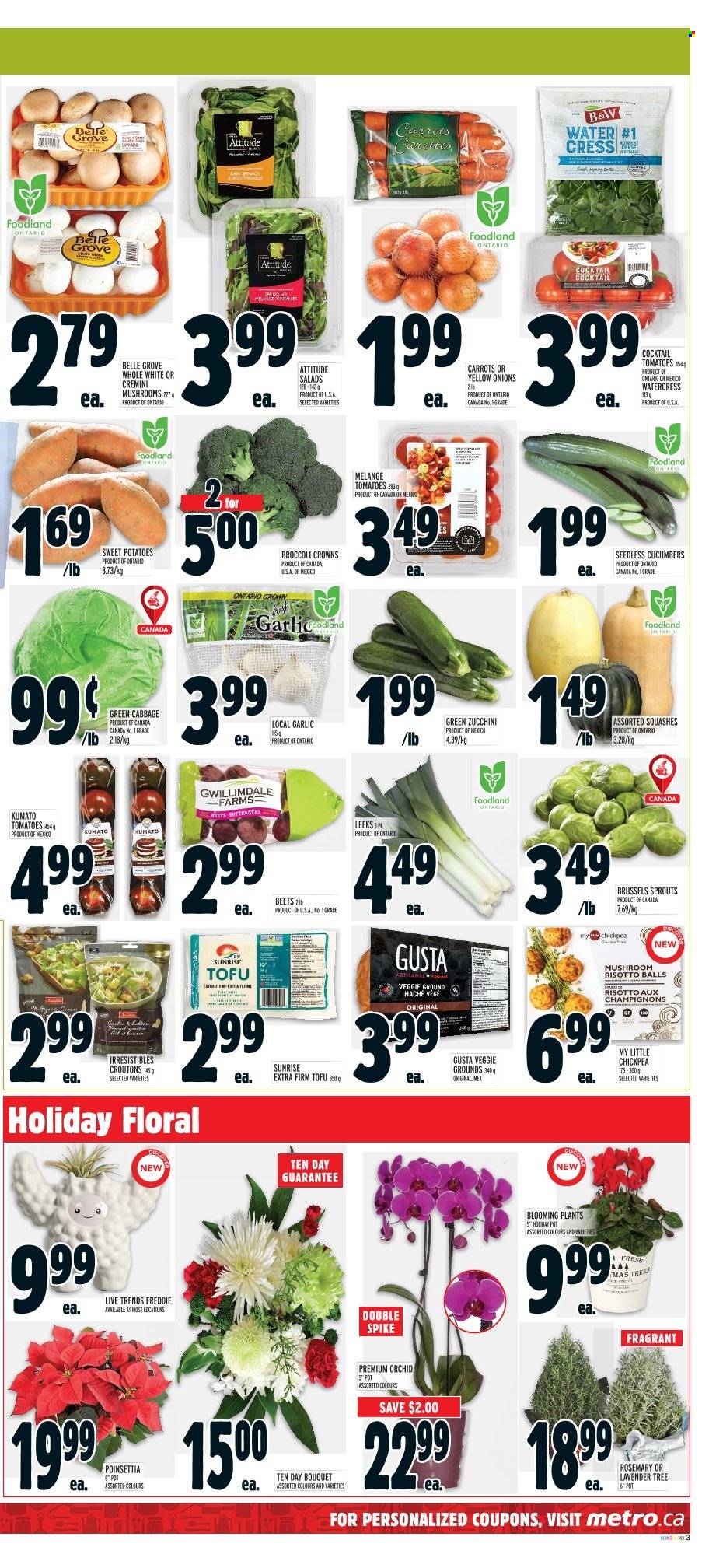 Metro flyer - November 17, 2022 - November 23, 2022. Page 3