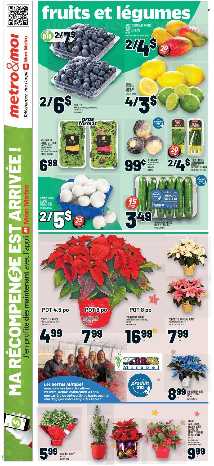 Metro flyer - November 24, 2022 - November 30, 2022. Page 3