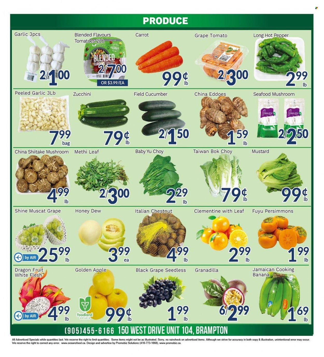 thumbnail - Oceans Flyer - November 25, 2022 - December 01, 2022 - Sales products - mushrooms, bok choy, garlic, tomatoes, zucchini, persimmons, dragon fruit, seafood, pepper, mustard, bag. Page 2.