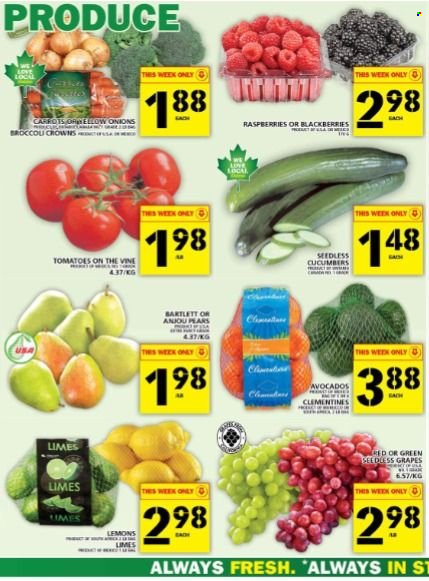 thumbnail - Food Basics Flyer - December 01, 2022 - December 07, 2022 - Sales products - carrots, cucumber, tomatoes, onion, avocado, blackberries, clementines, grapes, limes, seedless grapes, pears, lemons. Page 3.