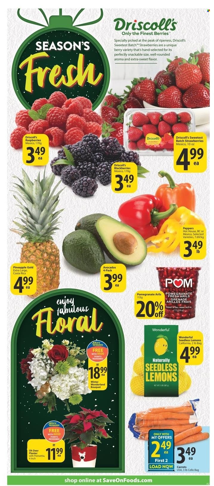 thumbnail - Save-On-Foods Flyer - December 01, 2022 - December 07, 2022 - Sales products - carrots, peppers, avocado, blackberries, strawberries, pineapple, pomegranate, lemons. Page 3.