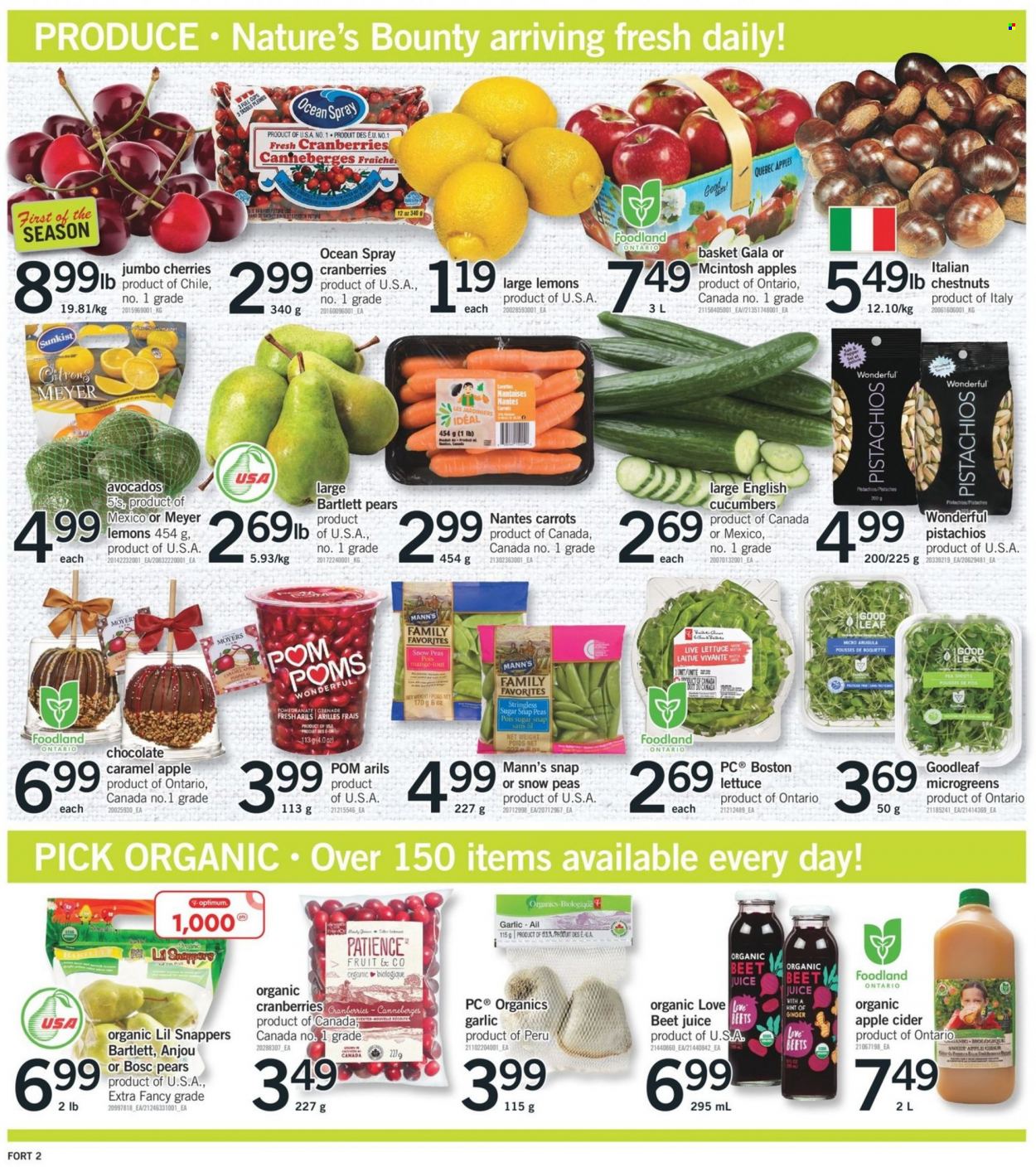 Fortinos flyer - December 08, 2022 - December 14, 2022. Page 3